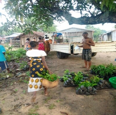 Transport des jeunes plants vers les sites de reboisement | © Helvetas