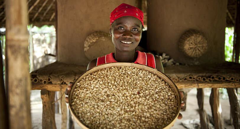 Food Security | Mozambique | Helvetas