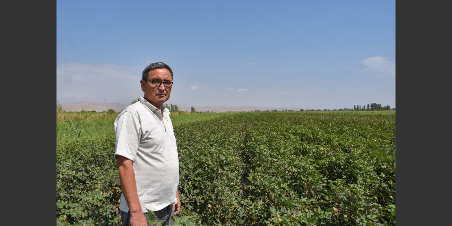 How Farmers’ Organizations Leverage Seed Banks to Combat