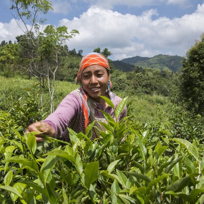 © Helvetas / Patrick Rohr © Helvetas / Patrick Rohr