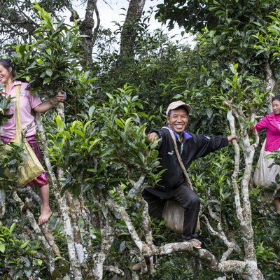 © Helvetas / Patrick Rohr © Helvetas / Patrick Rohr