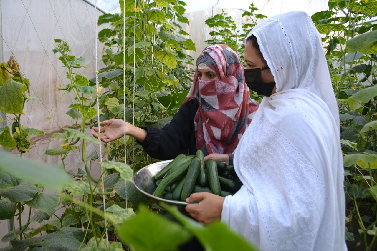 Re-Food-Pakistan