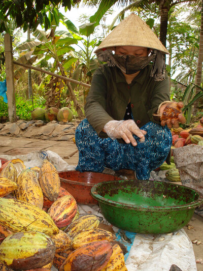 © Cocoa Vietnam. Cacao Vietnam