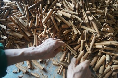 A worker selects cinnamon to put into a package. Photos courtesy of Gia Chính | © Gia Chinh