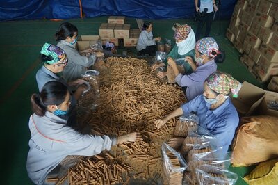 Nguyễn Thanh Mai said each worker has a quota to finish each day.  | © Gia Chinh