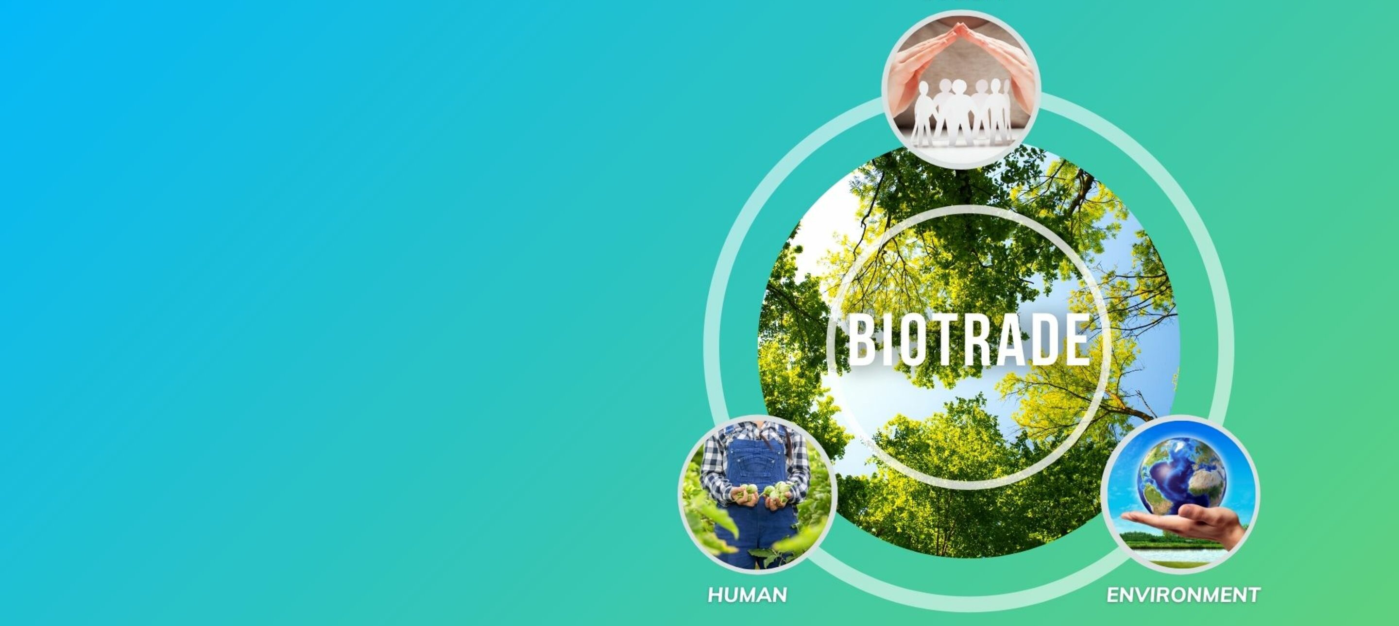 Biotrade SECO contributes expertise in Vietnam Food Forum