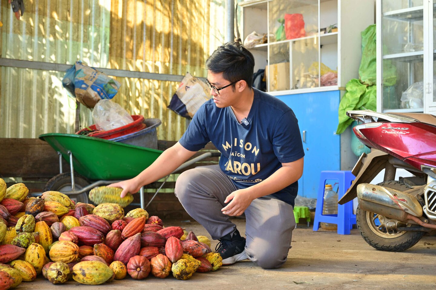 Vietnam cocoa sector | © Helvetas Vietnam