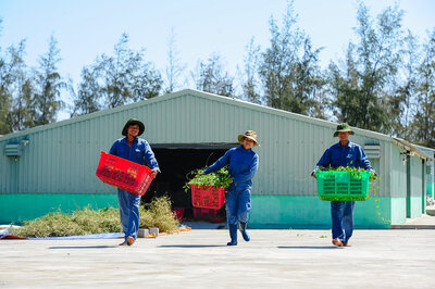  Workers at a herbal manufacturing company. | © Helvetas