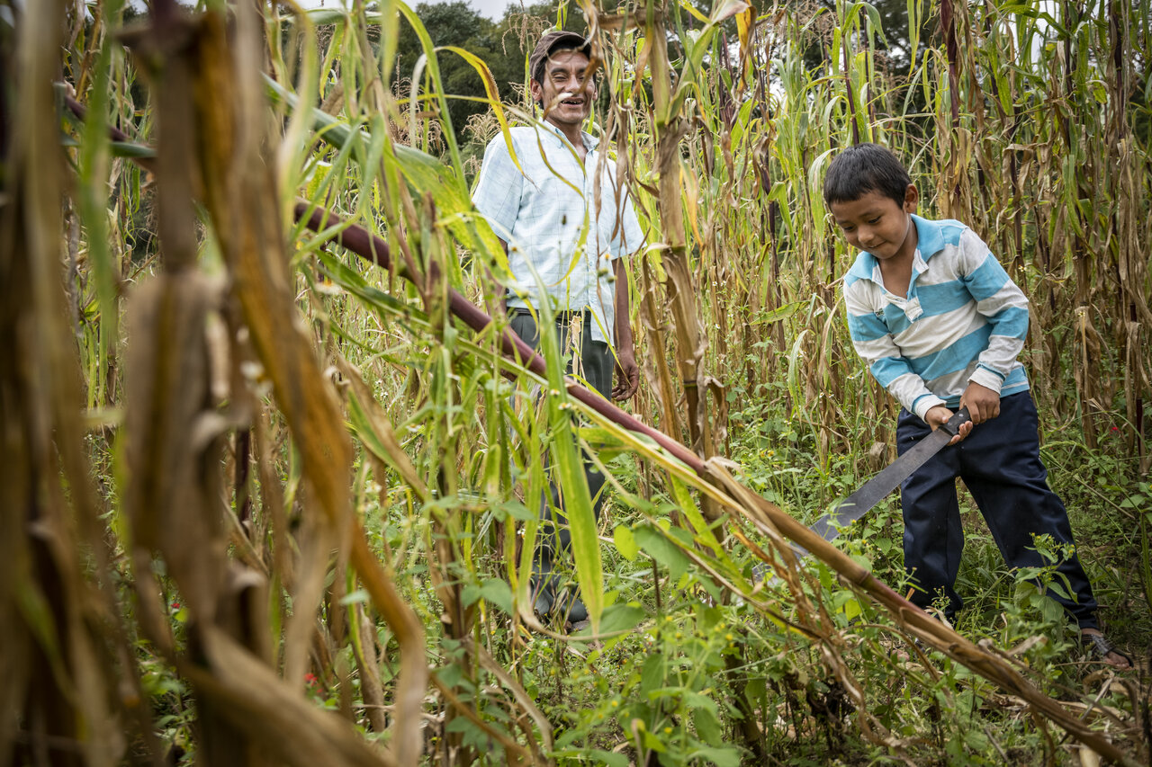Why We Need Sustainable Food Systems in a Post-COVID-19