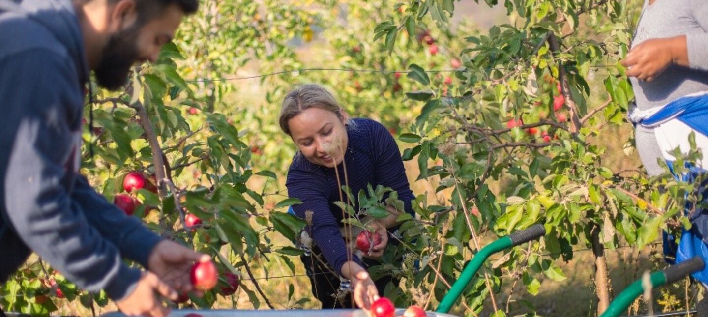 Leaving No One Behind: How to Make a Labor Market System