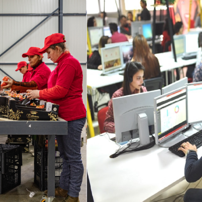 © Tomato AL / WeAreFiber 