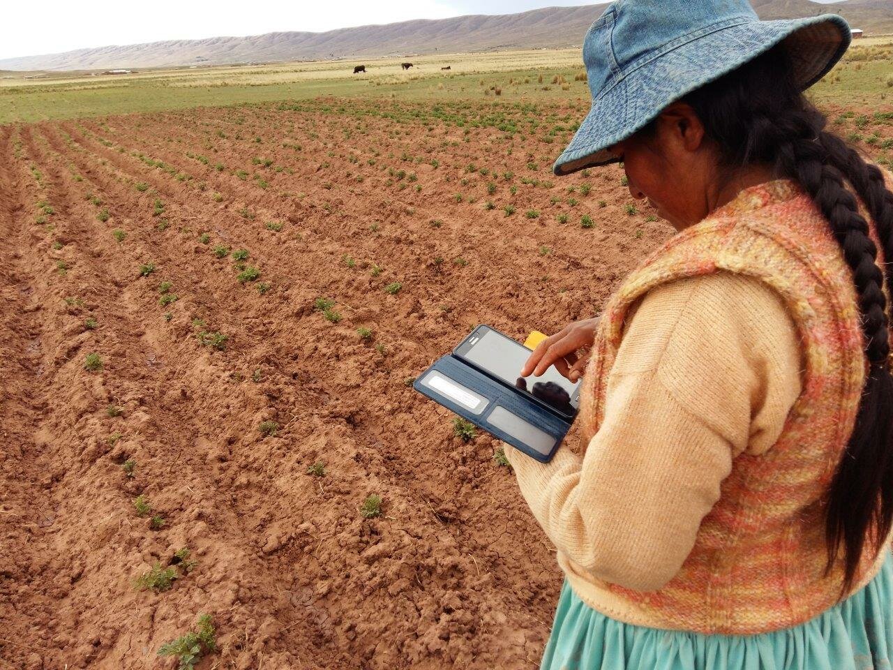 Una "yapuchiri" monitorea las semillas usando nuevas tecnologías.  Los yapuchiris son agricultores innovadores y respetados que transmiten sus conocimientos a otros. | © Helvetas/Eleodoro Baldiviezo 