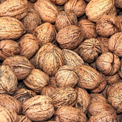 © CC0 Creative Commons