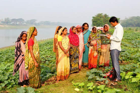 How Can Inclusive Agricultural Extension Services Perform