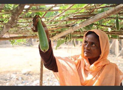 Hamida Begum in her vegetable garden | © Franca Roiatti / Helvetas 