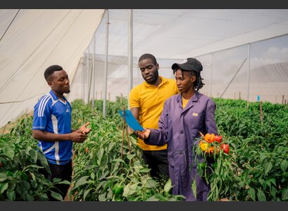 Greenhouse in Tanzania | © Yusuf Msafiri Helvetas