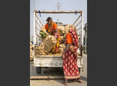 Nepali Market, Jhapa: Cucumber Harvest | © Flurina Rothenberger Helvetas