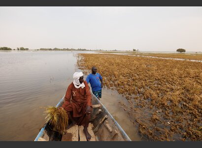 Flooding of the rice crop in Mali | © Fatou Kamara Welthungerhilfe