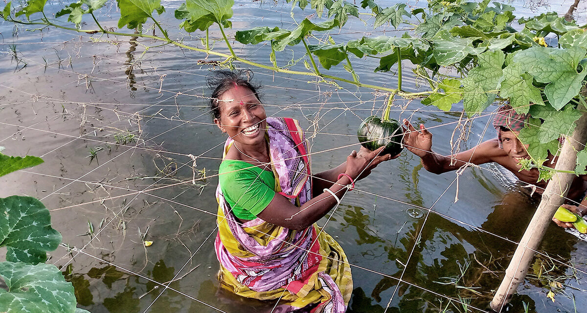 Kanon Bala an der Arbeit im Gemüsegarten | © Helvetas Bangladesch Kanon Bala an der Arbeit im Gemüsegarten | © Helvetas Bangladesch