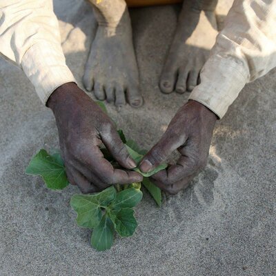 © Narendra Shrestha