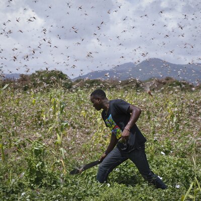 © Keystone/EPA/DAI KUROKAWA