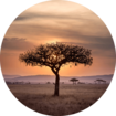 Serengeti in Tansania | © Hu Chen, Unsplash Serengeti in Tansania | © Hu Chen, Unsplash